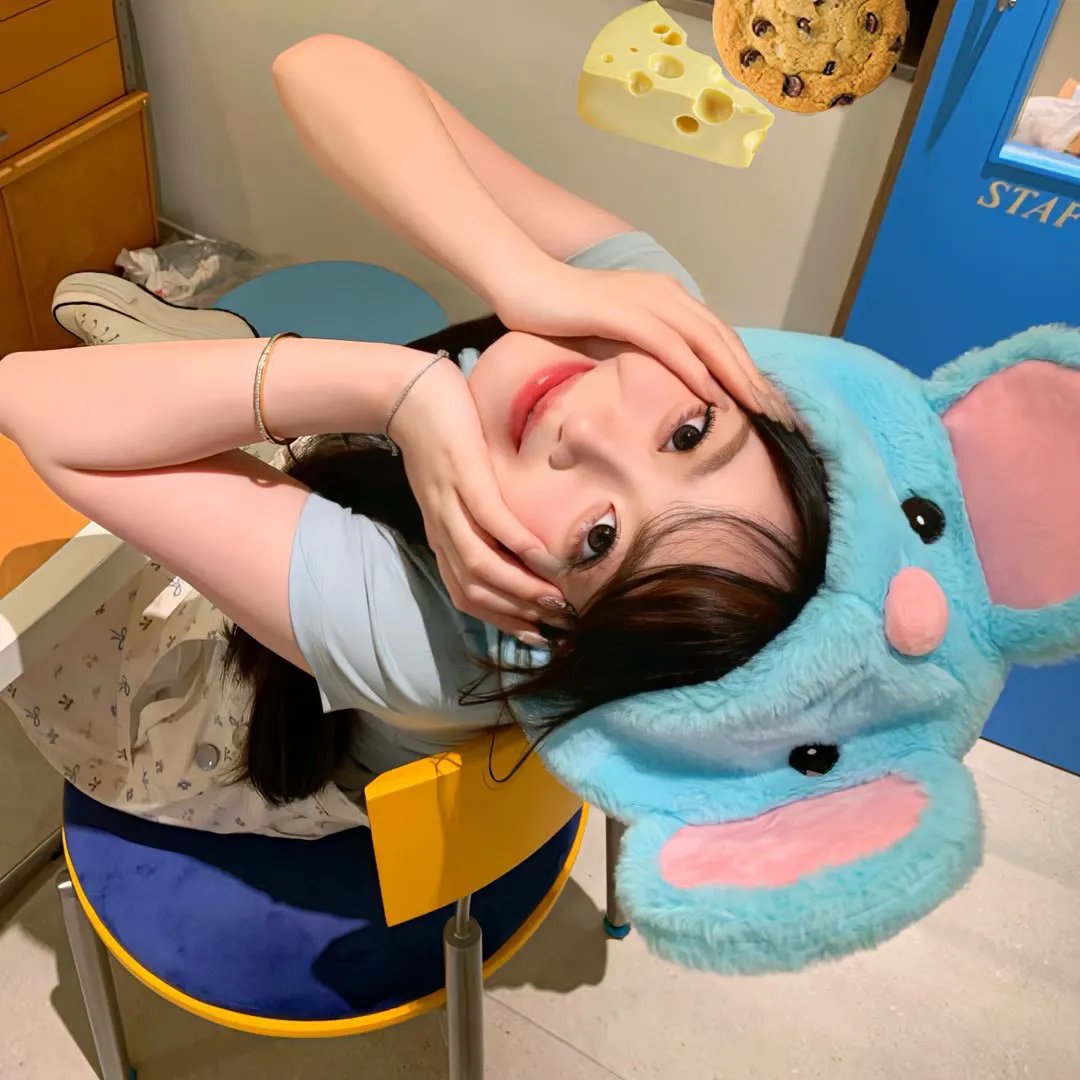 双子姐妹 封面